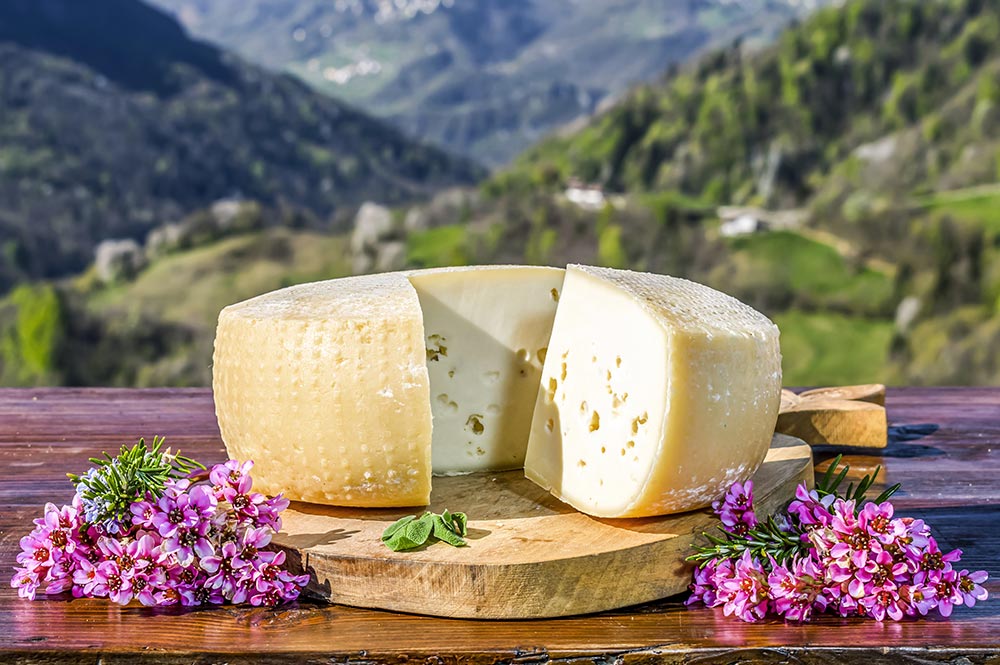 Formaggio