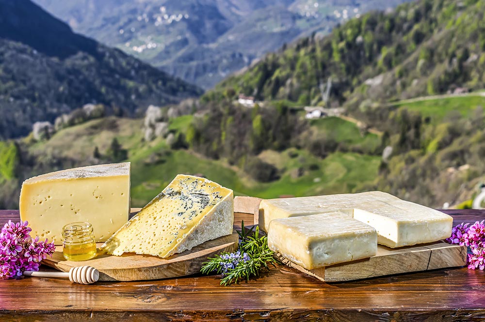 Formaggio