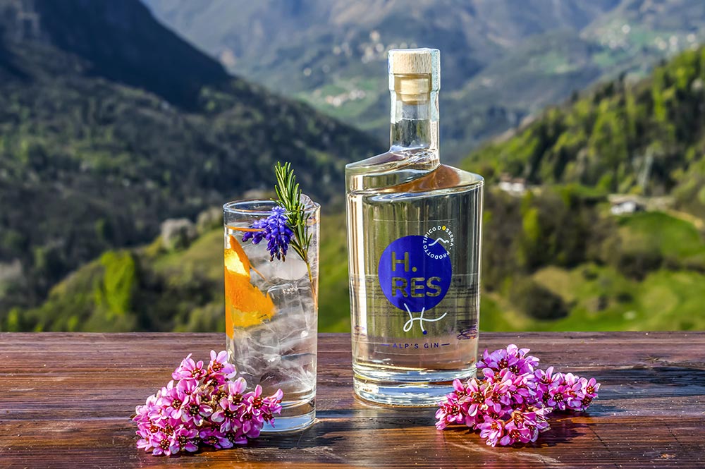 Gin