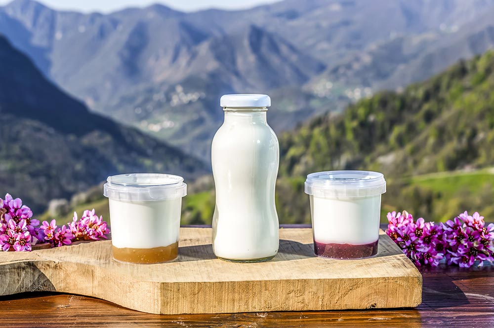 Yogurt